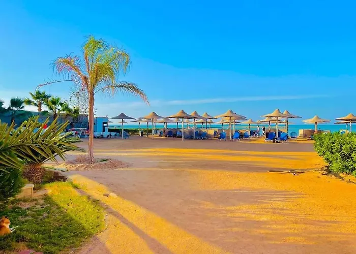 Turtles Hourghada View Sea View Pool Private Jacuzzi Security Air-conditioned Cafe Restaurant On The And A Large Sunny Balcony